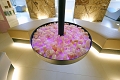 Hotel Alexander, Livigno