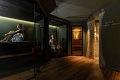 Hotel Alpen Suite, Madonna di Campiglio