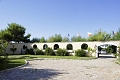 Villaggio Baia degli Aranci, Vieste