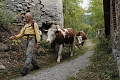 Agriturismo Barba Gust, San Sicario