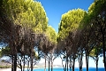 Hotel Cala dei Pini, Porto Pino
