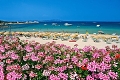 Hotel Punta Est, Baja Sardinia