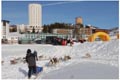 Sestriere psie zprahy