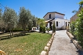 Villa Sase, Avola