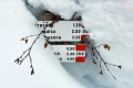 Hotel Angelo, Passo Tonale