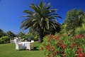 Hotel Antares, Capoliveri, ostrov Elba