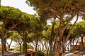 Argentario Camping Village, Albinia