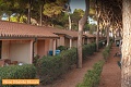 Argentario Camping Village, Albinia