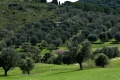 Argentario Golf Resort & Spa, Porto Ercole
