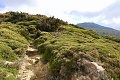 Hotel Elba a Rezidencia Dei Fiori, Marina di Campo - ostrov Elba