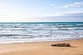 Marina Dune Suity, San Vincenzo