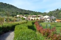Le Corti di Montepitti Rezort, Suvereto