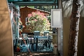 Camping Village Oasi, Albinia