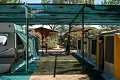 Camping Village Oasi, Albinia