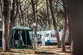 Camping Village Oasi, Albinia