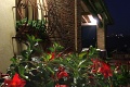 Agriturismo Fattoria Poggio Alloro, San Gimignano