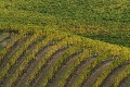 Agriturismo Fattoria Poggio Alloro, San Gimignano
