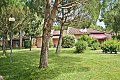Riva degli Etruschi Resort, San Vincenzo