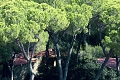 Rezidencia Roccamare Resort, Castiglione della Pescaia
