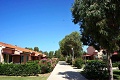 Villaggio La Rosa dei Venti, Mazzanta