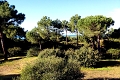 Apartmny a Villy Tenuta le Marze, Castiglione della Pescaia