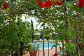Villa Paduletto, Lido di Camaiore