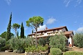 Villa Vigna, Grosseto