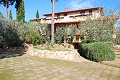 Villa Vigna, Grosseto