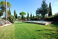Villa Vigna, Grosseto