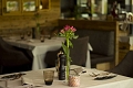 Hotel Astor Suites, Selva Gardena