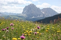 Hotel La Montanina, Selva di Val Gardena