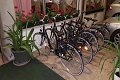 Hotel Aldebaran, Lido di Jesolo