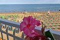 Hotel Bellariva, Lido di Jesolo