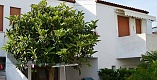 Hotel Berna, Eraclea Mare