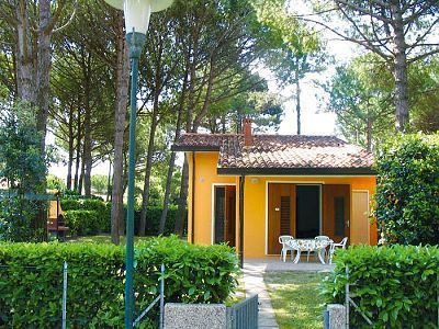 Vilky Dogi Sud Bibione
