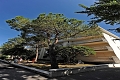 Rezidencia Braida, Caorle