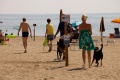 Camping Cavallino, Cavallino