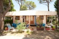 Camping Cavallino, Cavallino