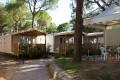 Camping Cavallino, Cavallino