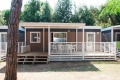 Camping Cavallino, Cavallino