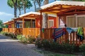 Camping Cavallino, Cavallino