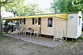 Camping Klaus, Cavallino