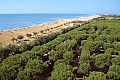 Camping Klaus, Cavallino