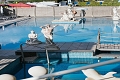Hotel Carlton, Lido di Jesolo