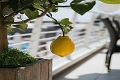 Hotel Carlton, Lido di Jesolo