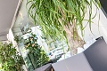 Aparthotel Costarica, Bibione