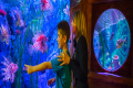Gardaland Hotel, Castelnuovo del Garda
