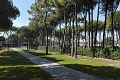 Villaggio Turistico Internazionale, Bibione