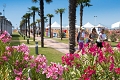 Villaggio Turistico Internazionale, Bibione