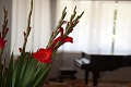 Hotel Katja, Bibione